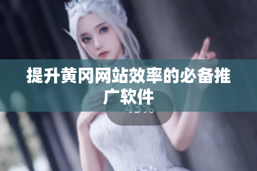 提升黄冈网站效率的必备推广软件