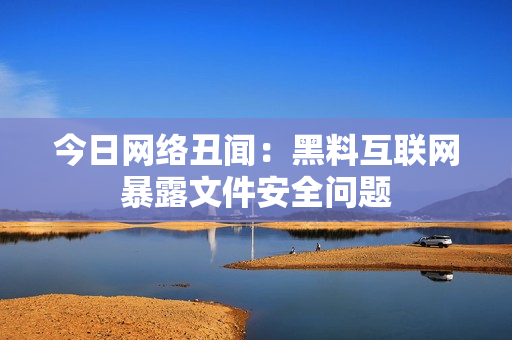 今日网络丑闻：黑料互联网暴露文件安全问题