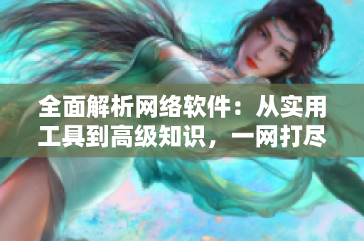 全面解析网络软件：从实用工具到高级知识，一网打尽！