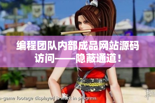 编程团队内部成品网站源码访问——隐蔽通道！