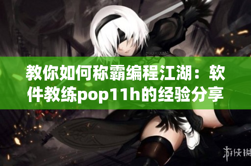 教你如何称霸编程江湖：软件教练pop11h的经验分享