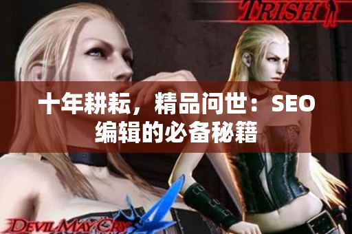 十年耕耘，精品问世：SEO编辑的必备秘籍