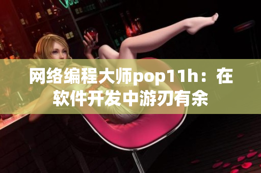 网络编程大师pop11h：在软件开发中游刃有余