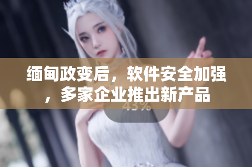 缅甸政变后，软件安全加强，多家企业推出新产品