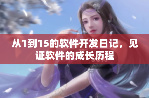 从1到15的软件开发日记，见证软件的成长历程