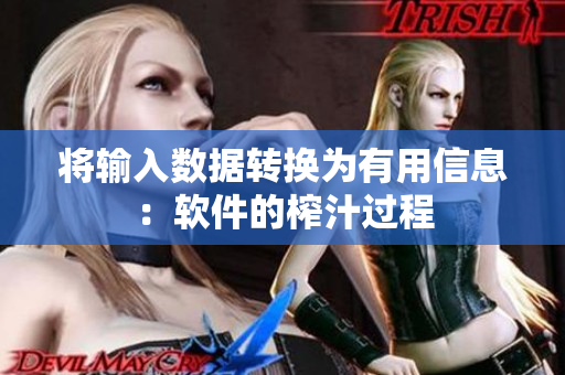 将输入数据转换为有用信息：软件的榨汁过程