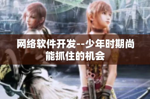 网络软件开发--少年时期尚能抓住的机会