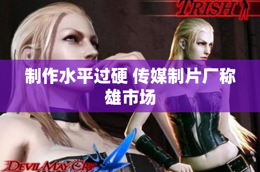 制作水平过硬 传媒制片厂称雄市场