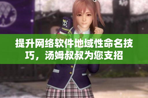 提升网络软件地域性命名技巧，汤姆叔叔为您支招