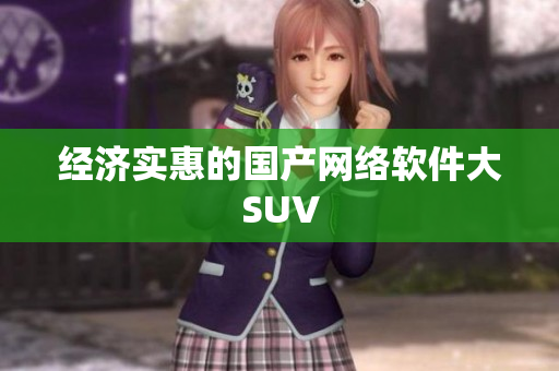 经济实惠的国产网络软件大SUV