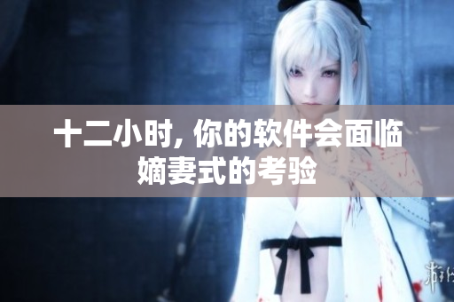 十二小时, 你的软件会面临嫡妻式的考验