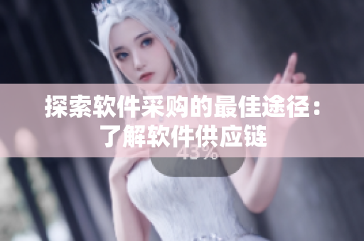 探索软件采购的最佳途径：了解软件供应链