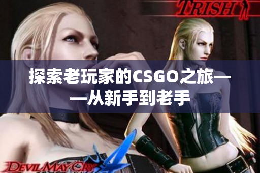 探索老玩家的CSGO之旅——从新手到老手