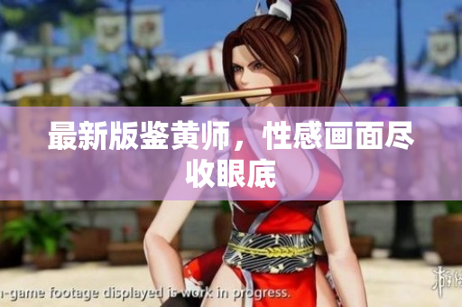 最新版鉴黄师，性感画面尽收眼底