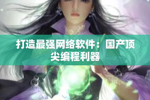 打造最强网络软件：国产顶尖编程利器