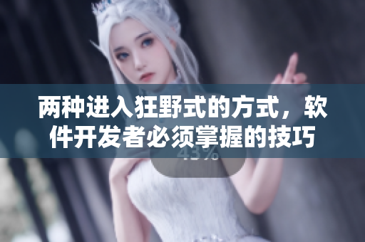 两种进入狂野式的方式，软件开发者必须掌握的技巧