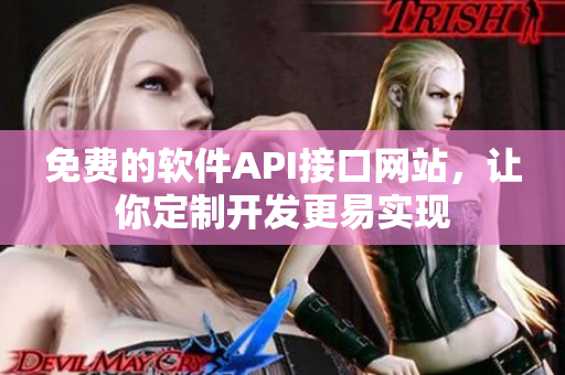 免费的软件API接口网站，让你定制开发更易实现