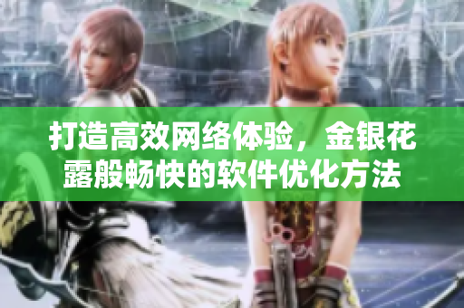 打造高效网络体验，金银花露般畅快的软件优化方法