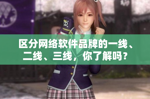 区分网络软件品牌的一线、二线、三线，你了解吗？
