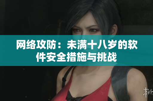 网络攻防：未满十八岁的软件安全措施与挑战