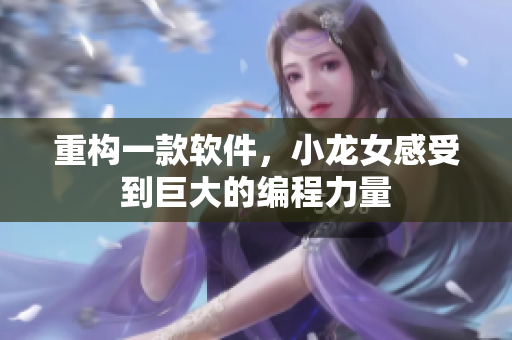 重构一款软件，小龙女感受到巨大的编程力量