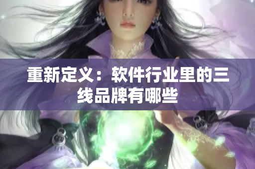重新定义：软件行业里的三线品牌有哪些
