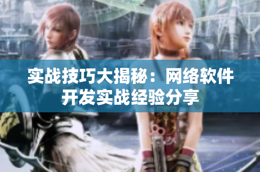 实战技巧大揭秘：网络软件开发实战经验分享