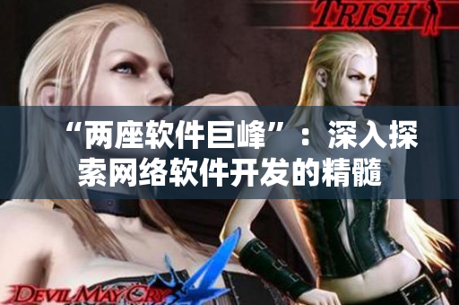 “两座软件巨峰”：深入探索网络软件开发的精髓