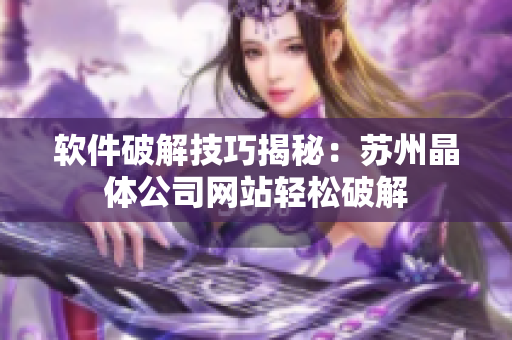 软件破解技巧揭秘：苏州晶体公司网站轻松破解