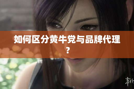 如何区分黄牛党与品牌代理？