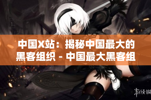 中国X站：揭秘中国最大的黑客组织 - 中国最大黑客组织：揭秘内幕