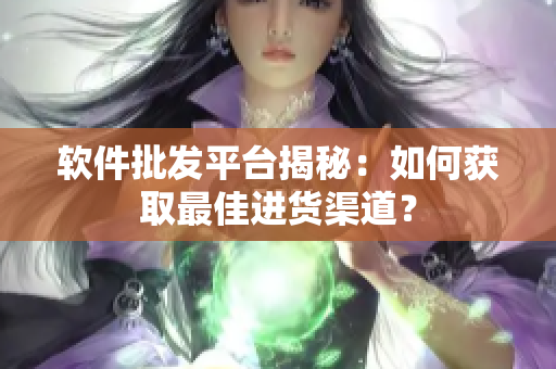 软件批发平台揭秘：如何获取最佳进货渠道？