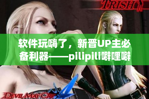 软件玩嗨了，新晋UP主必备利器——pilipili噼哩噼哩
