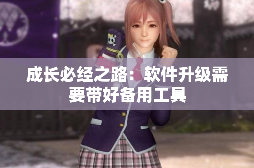 成长必经之路：软件升级需要带好备用工具