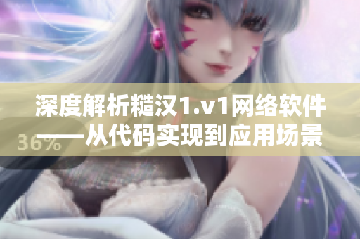 深度解析糙汉1.v1网络软件——从代码实现到应用场景