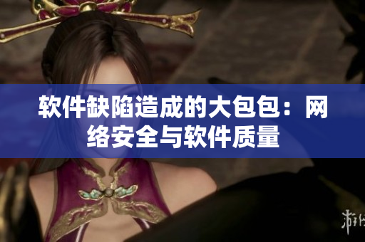 软件缺陷造成的大包包：网络安全与软件质量