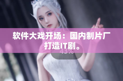 软件大戏开场：国内制片厂打造IT剧。