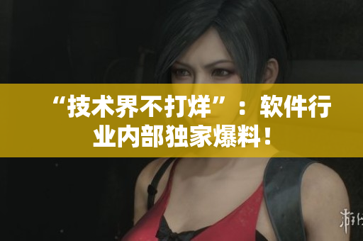 “技术界不打烊”：软件行业内部独家爆料！