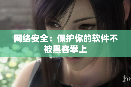 网络安全：保护你的软件不被黑客攀上