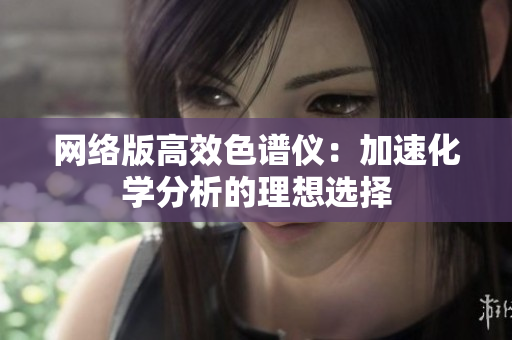 网络版高效色谱仪：加速化学分析的理想选择