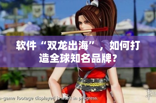 软件“双龙出海”，如何打造全球知名品牌？