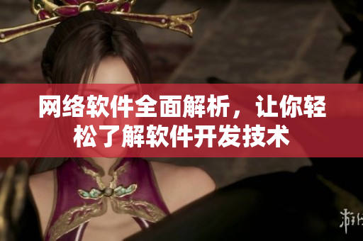 网络软件全面解析，让你轻松了解软件开发技术