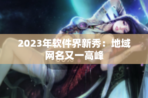 2023年软件界新秀：地域网名又一高峰