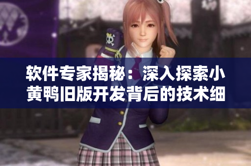 软件专家揭秘：深入探索小黄鸭旧版开发背后的技术细节