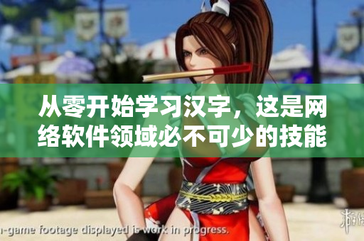 从零开始学习汉字，这是网络软件领域必不可少的技能！