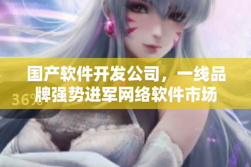 国产软件开发公司，一线品牌强势进军网络软件市场