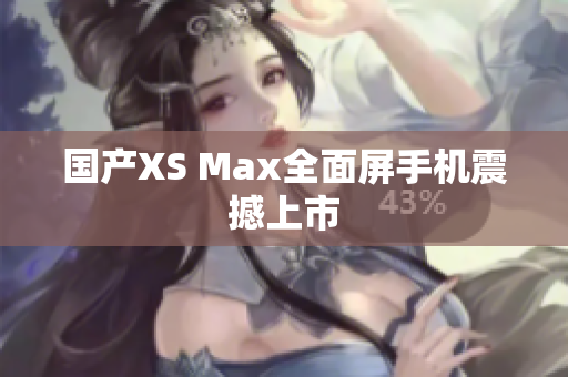 国产XS Max全面屏手机震撼上市