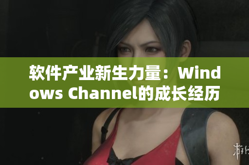 软件产业新生力量：Windows Channel的成长经历