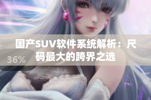 国产SUV软件系统解析：尺码最大的跨界之选