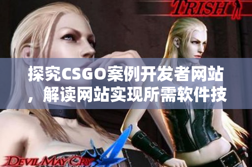 探究CSGO案例开发者网站，解读网站实现所需软件技术
